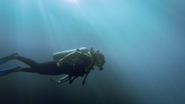Instrucción de buceo en Mérida