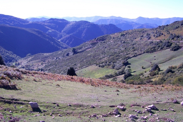 Ven a nuestro camping