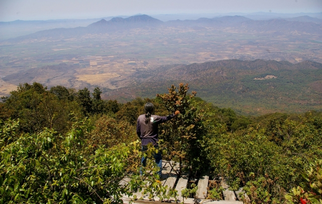 excursioneres