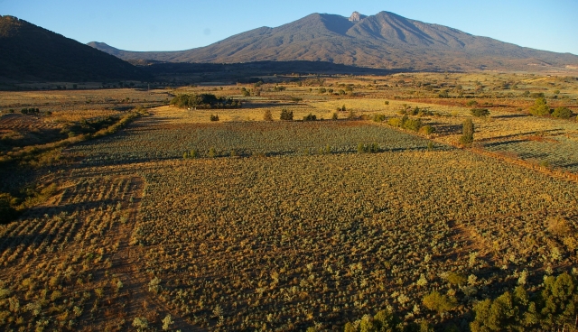 vistas del montaña