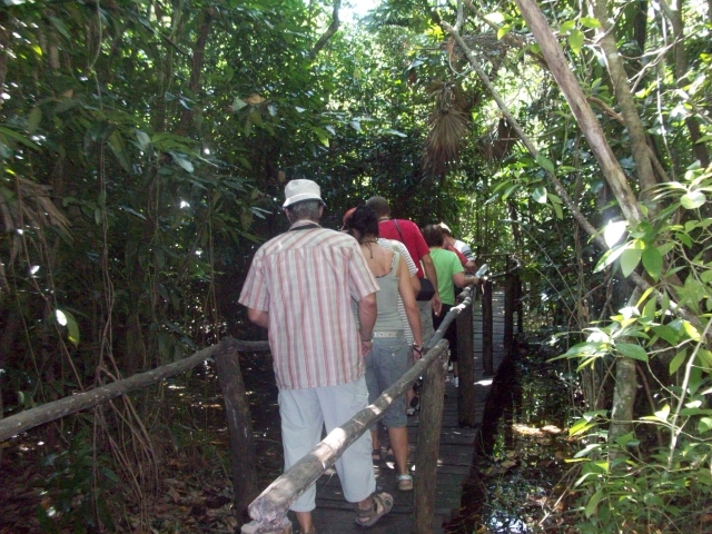 senderismo en la selvas