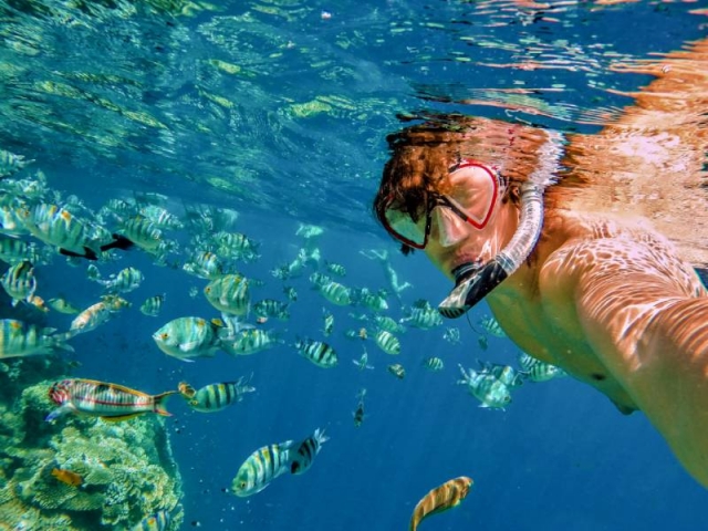 Nadando con snorkel y peces