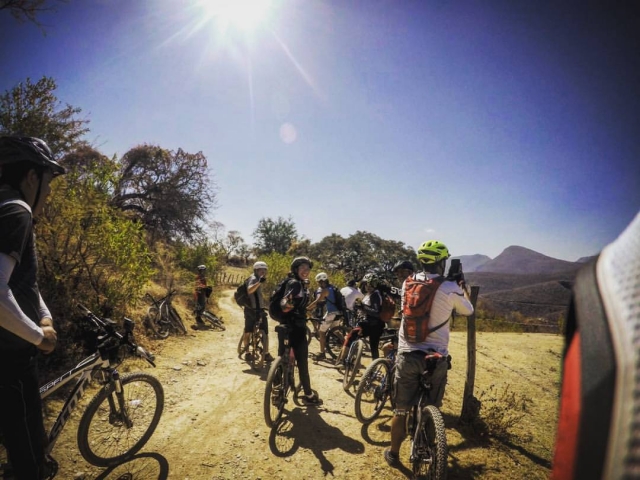 Bike visita guiada