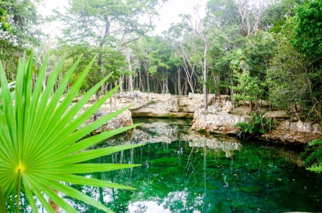 Cenotererererereres mayas