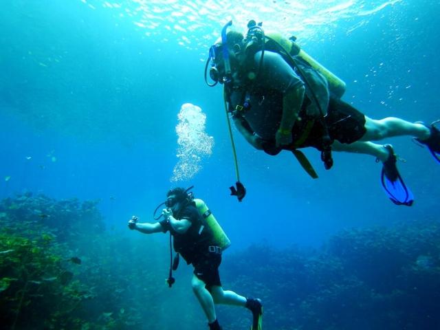 buceo en grupo