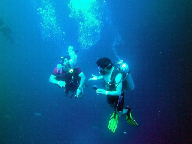 comparte la experiencia