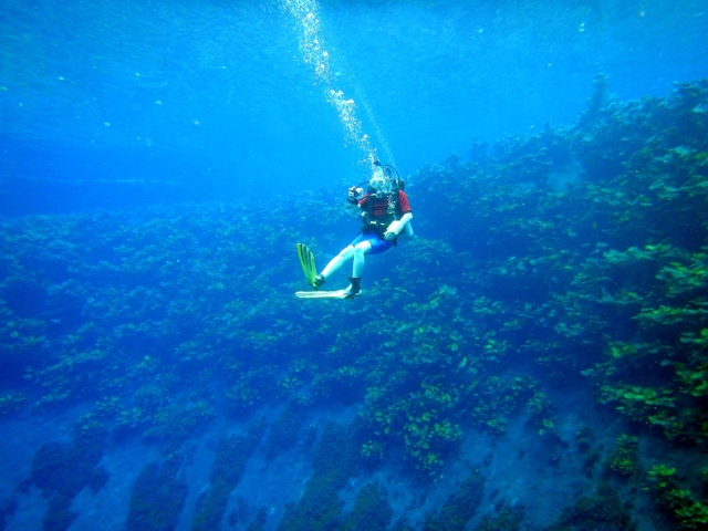 disfrutando del buceo