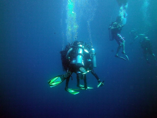 buceo en grupo
