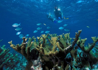 Catamarán con buffet a Isla Mujeternera precio niños