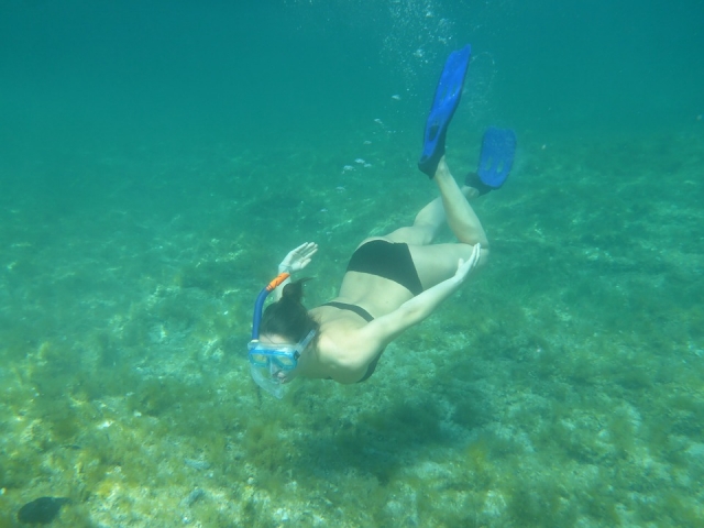 Visita guiada de snorkel 