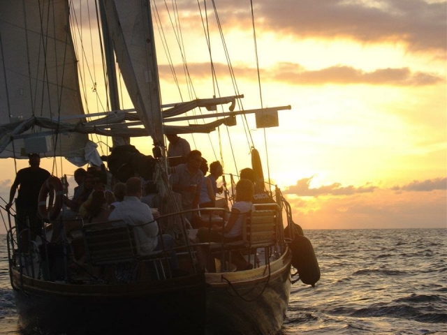 Visita guiada al atardecer 