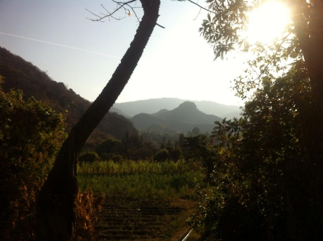MK Paisaje.jpg