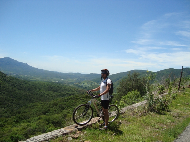 Ruta ocelotl
