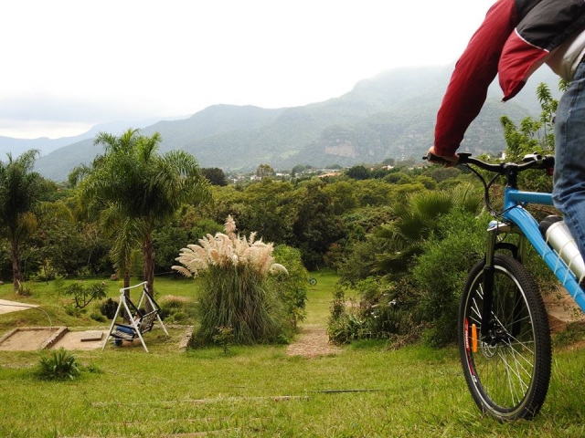 bici 6 - copia
