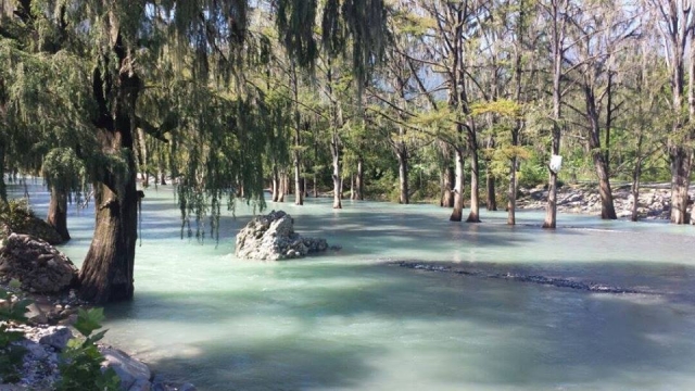 Coges espectaculaternera