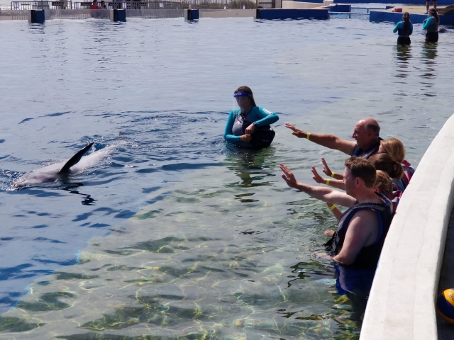 Interactuando con los delfines