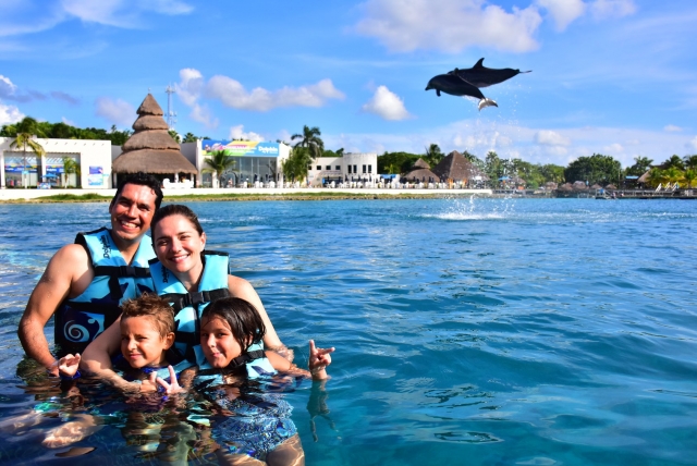 familia nadando con delfines
