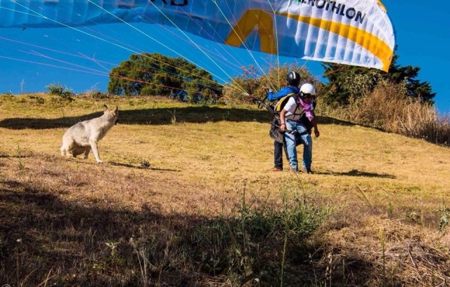 Parapente con nosotros