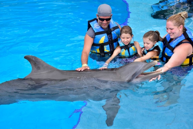 Familia y delfinereres en los cabos