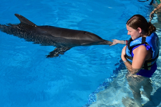 Interacción con delfines