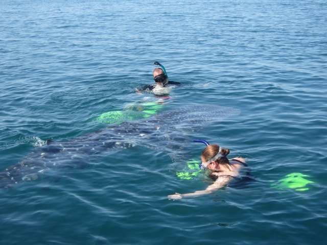 Comenzando el snorkel