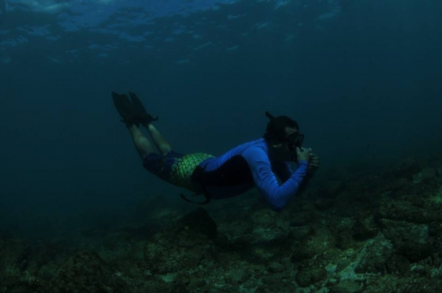 snorkeleando en los cabos
