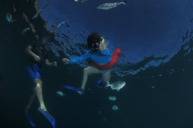 Snorkelenado