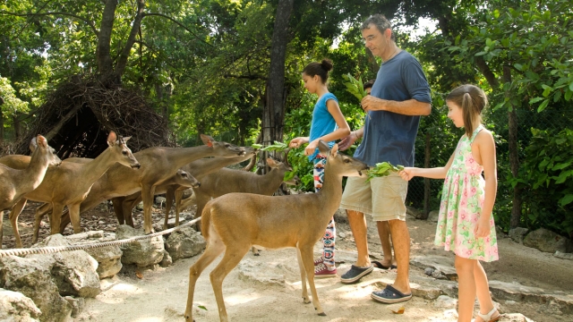 Reservas con venados 