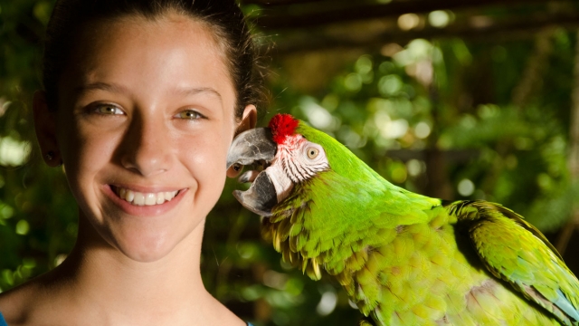 Interaccion con los animalererererereres 