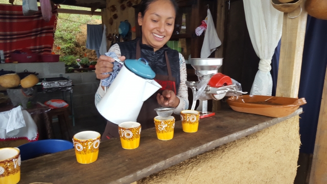 Ruta del cafe