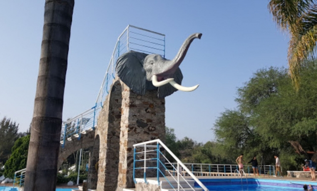 Elefante en parque acuático
