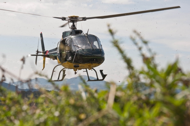 Helicoptero verde