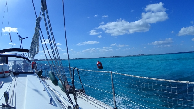 Cruceros 
