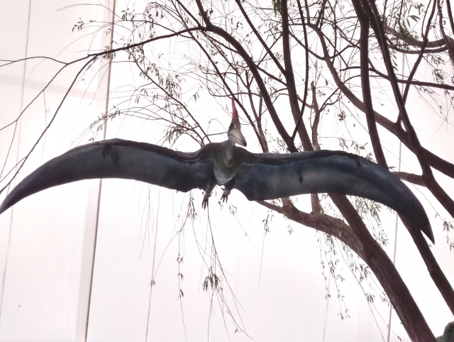 Pterodáctilo