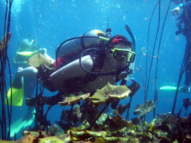 Buceo avanzado 
