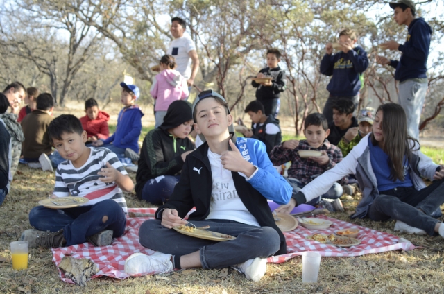 picnic en plena naturaleza