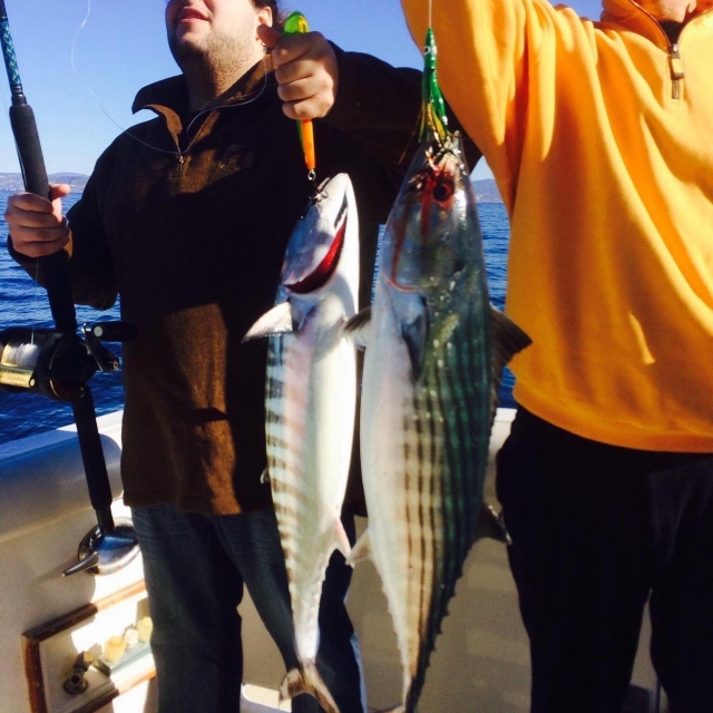Pesca deportivas en la bahía
