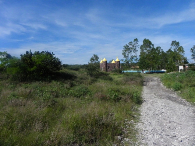 Camino y naturaleza