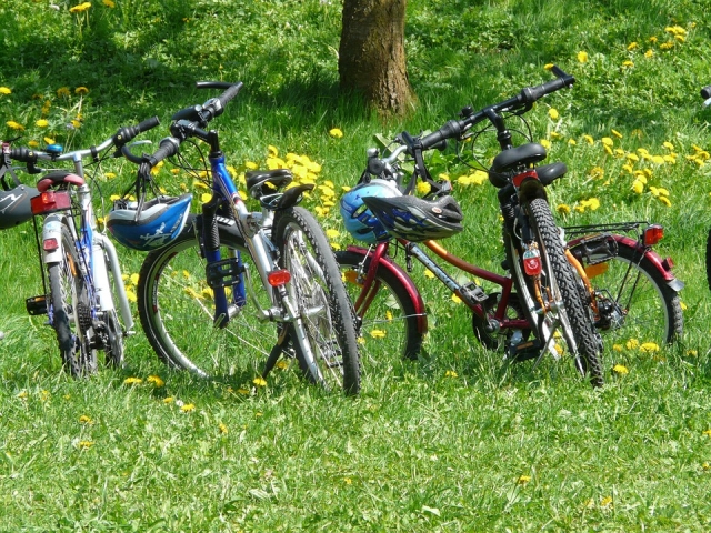 pasion en bicicleta