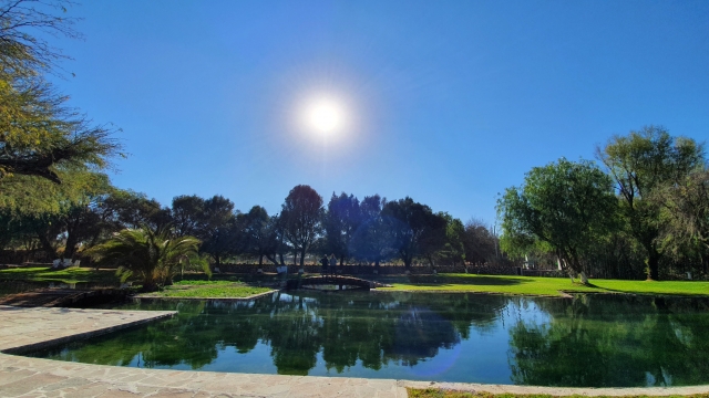 Áreas verdererererereres del parque