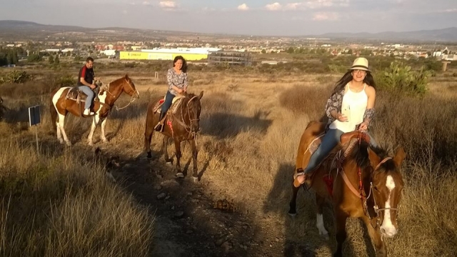 Disfruta de un relajante paseo a caballo