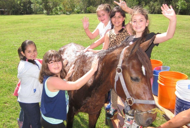 Bañando al caballo 
