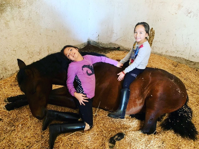 Niñas conviviendo con caballos