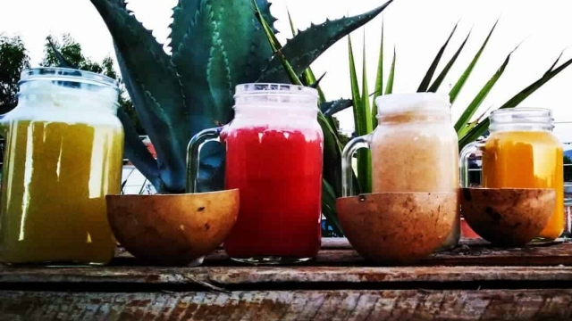Degustación de pulque