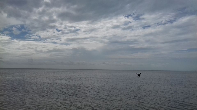 De pesca
