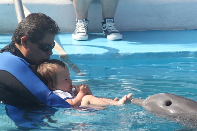 delfin