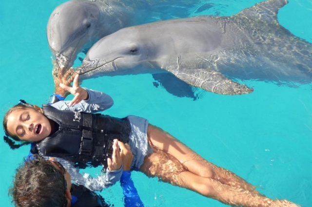 nina y delfin