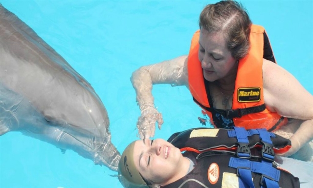 Terapia con delfin