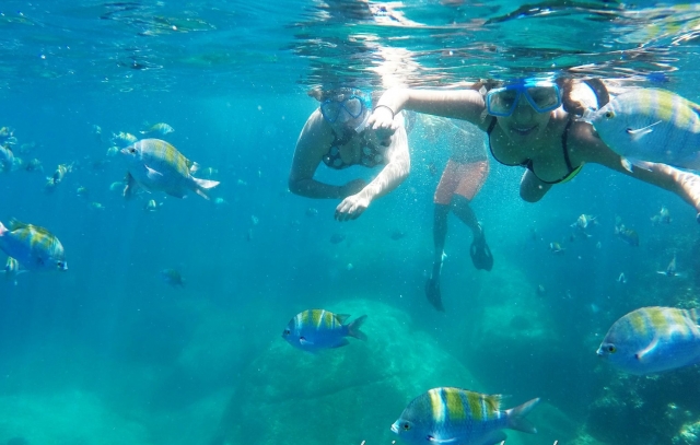 Snorkel en la isla 