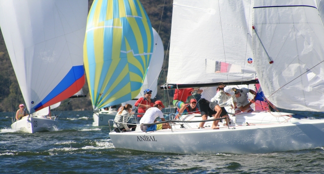 Paseo en velero por valte